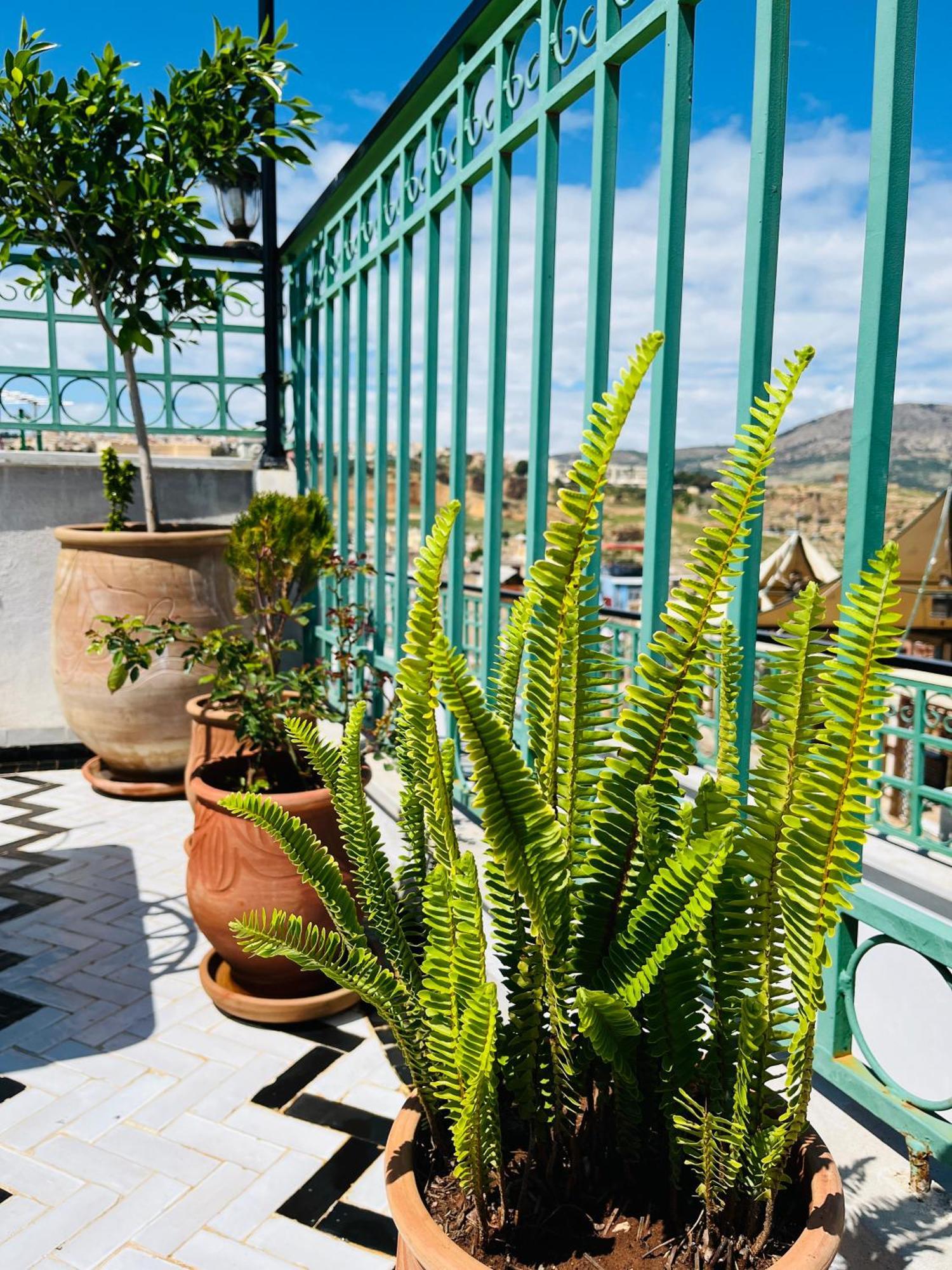 Riad Fes Miracle Fez Exterior foto